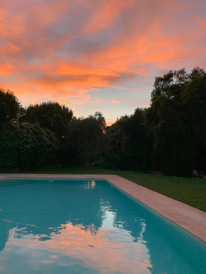 Le Jardin De Lacoste Narbonne Luaran gambar