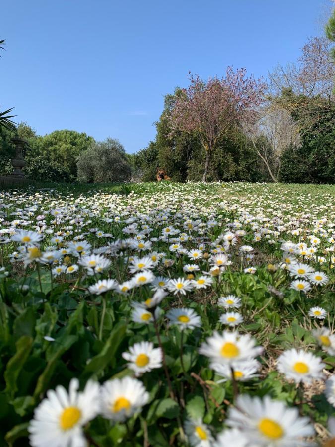 Le Jardin De Lacoste Narbonne Luaran gambar