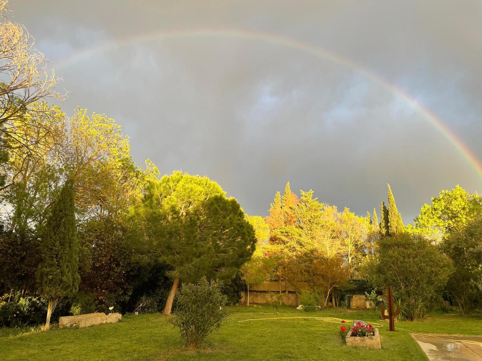 Le Jardin De Lacoste Narbonne Luaran gambar