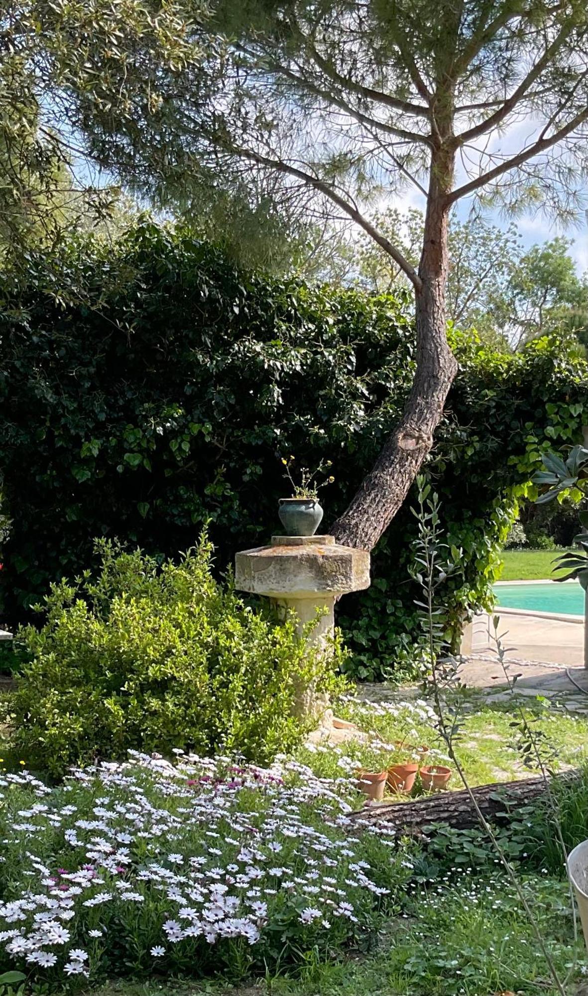 Le Jardin De Lacoste Narbonne Luaran gambar